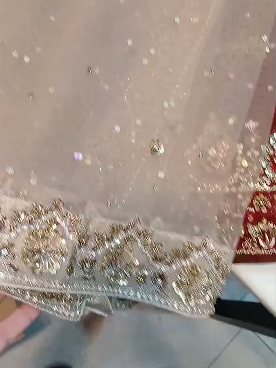 The scalloped, sequinned edge of the net dupatta